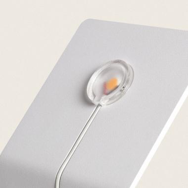 Image of Edit Lerna Uplighter Wall Light