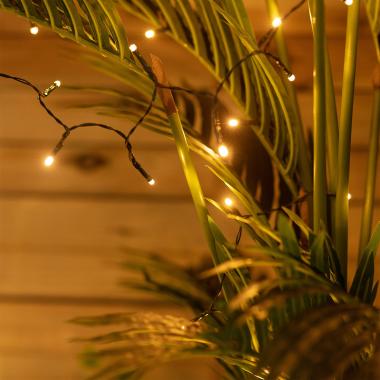 Image of 4M Suri Lasan Solar LED String Lights