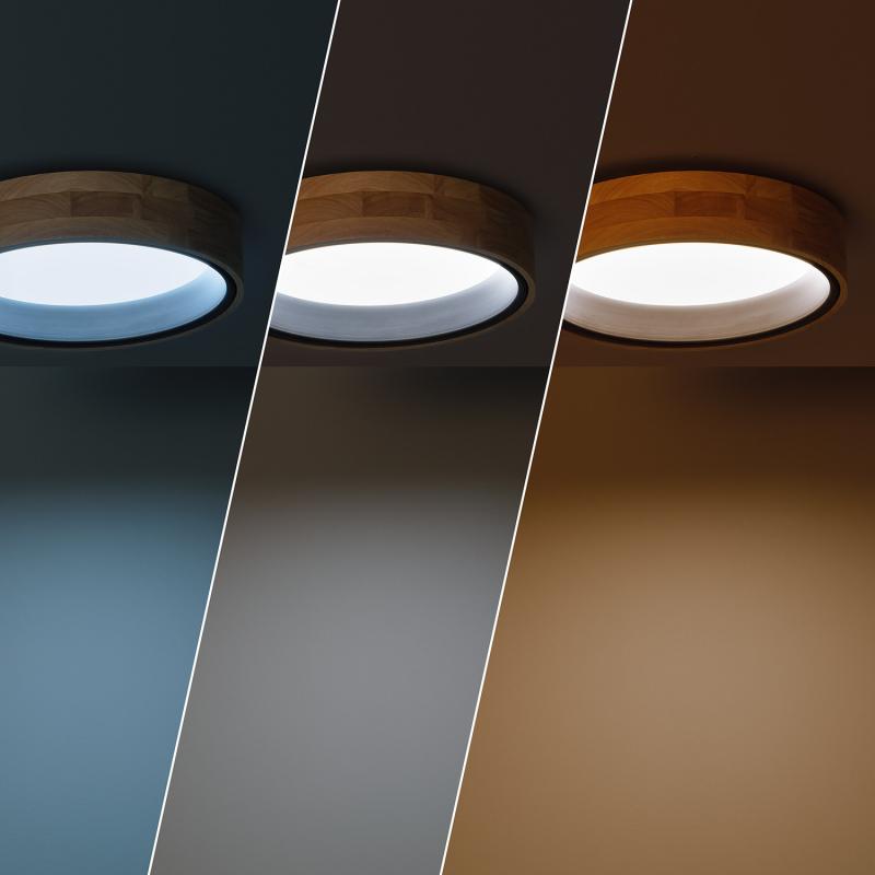 Image of Edit Dari Round 15W Selectable LED Flush Ceiling Light