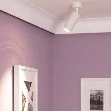 Image of Edit Agate Single Ceiling Spotlight