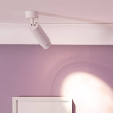 Image of Edit Agate Single Ceiling Spotlight