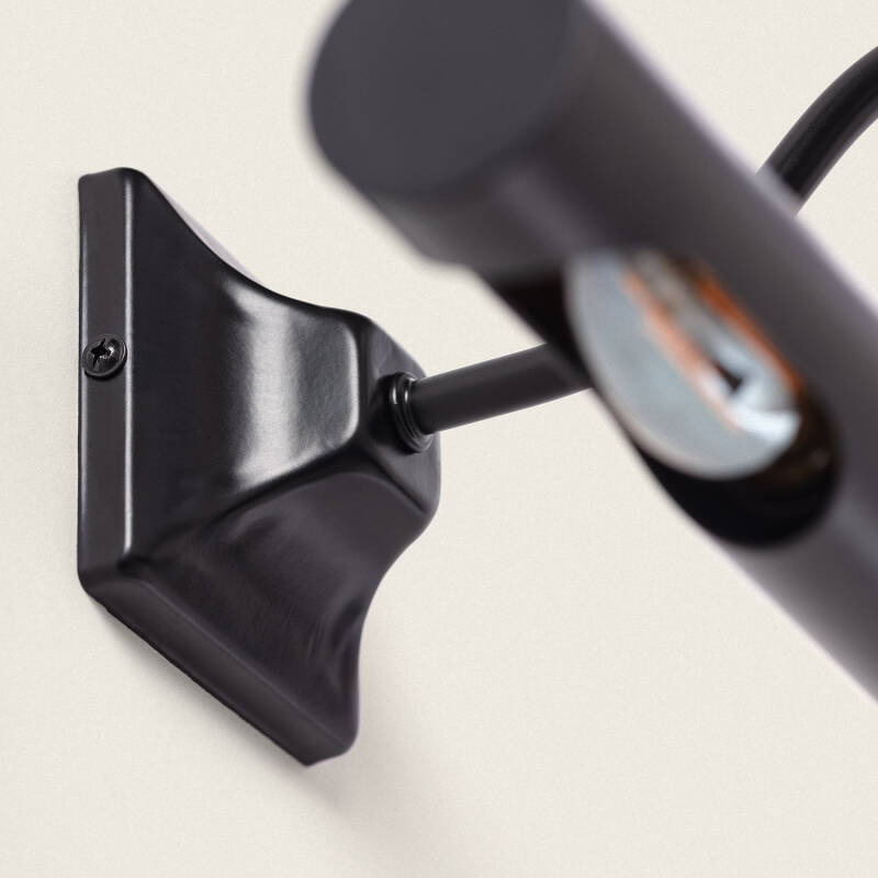 Image of Edit Kansas Picture Light