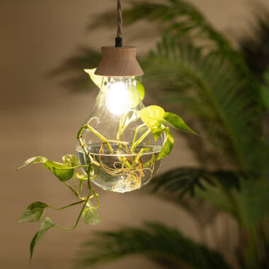 Image of Edit Kathu Glass Ceiling Pendant Light