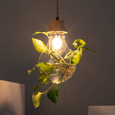 Image of Edit Kathu Glass Ceiling Pendant Light