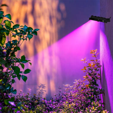 Image of 30W Dimmable RGB LED Floodlight 4050lm PRO