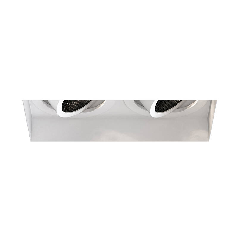 Image of Astro Trimless Slimline Rectangle Adjustable Twin Downlight