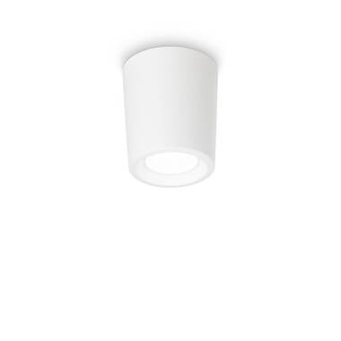 Fumagalli Livia Outdoor Tall Flush Ceiling Light