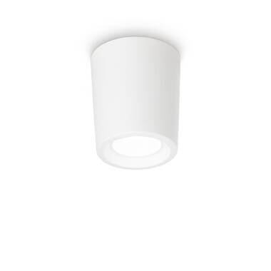 Fumagalli Livia Outdoor Tall Flush Ceiling Light