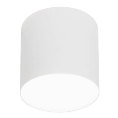Image of Edit Point Plexi Ceiling Spotlight