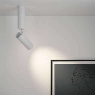 Image of Envirolight Adjustable Spotlight