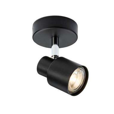 Capture Single Spotlight