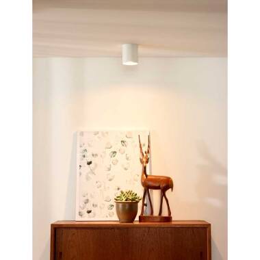 Image of Lucide Bodi Ceiling Spotlight