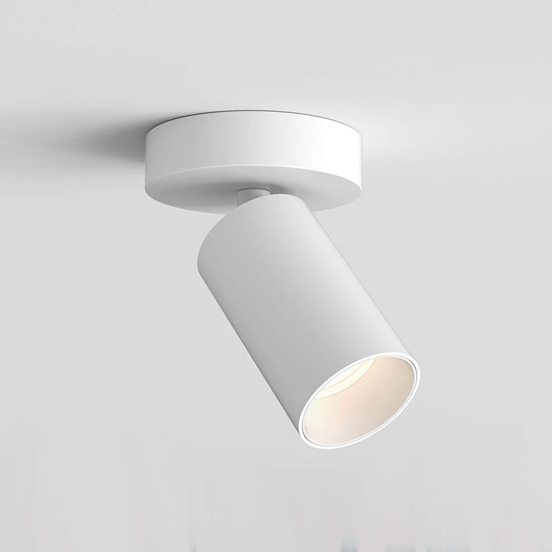 Image of Astro Can 50 LED Single Spotlight