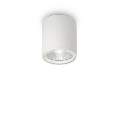 Gun Outdoor Flush Ceiling Light