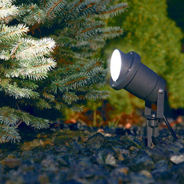 Image of Edit Bush Garden Spotlight
