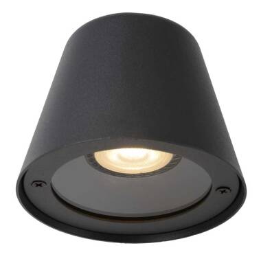 Image of Lucide Dingo LED Outdoor Wall Light