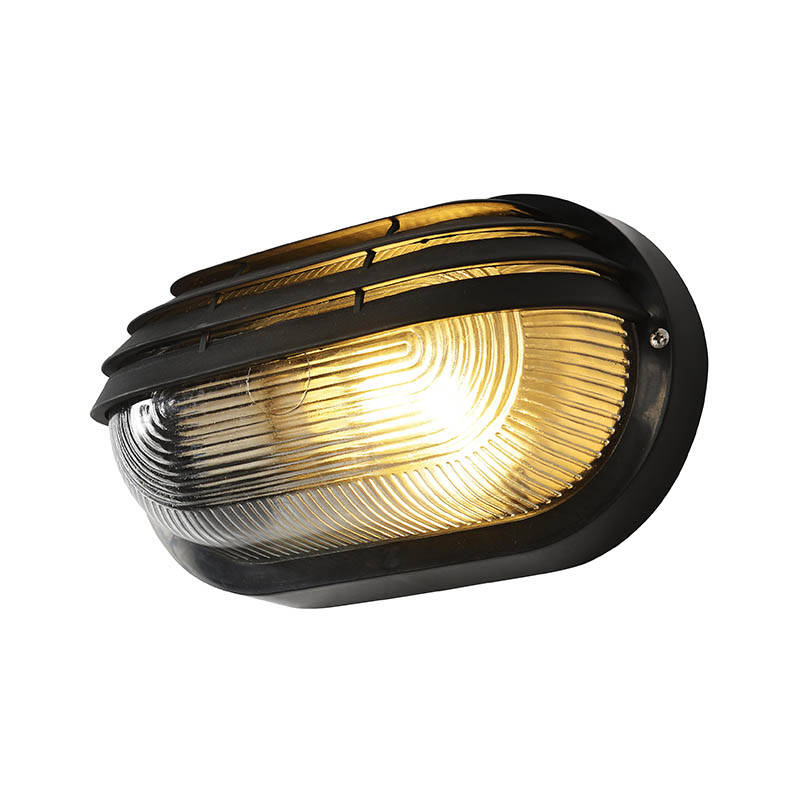 Image of Forum Coastal Puck Oval Outdoor Flush Wall Light