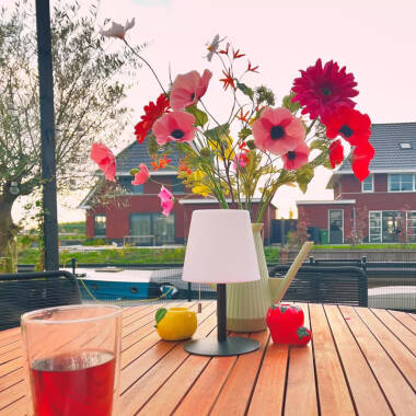 Image of Lucide Rio USB Rechargeable Colour Changing LED Outdoor Table Lamp