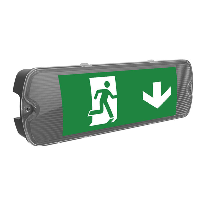 Image of Kosnic Mulu 5W Daylight LED Emergency Bulkhead