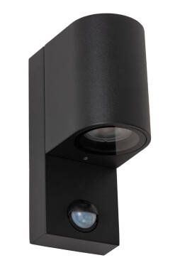 Image of Lucide Zaro Ir Outdoor Down Light with PIR Sensor