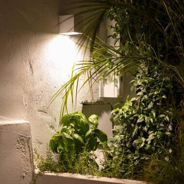 Image of Edit Miseno Outdoor Wall Light