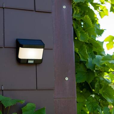 Lutec Try Solar LED Outdoor Wall Light with PIR Sensor