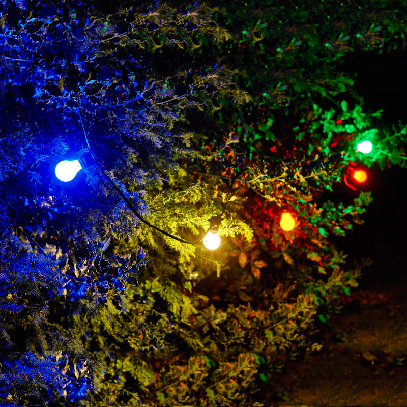 Image of 25W Colour GLS Bulbs - Bayonet Cap