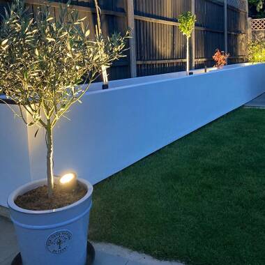 Image of EasyFit 12V Garden Lights - Fern LED Garden Spotlight Kit