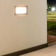 Image of Edit Drive LED Outdoor Brick Light