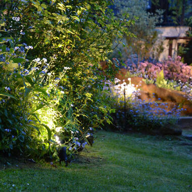 Image of EasyFit 12V Garden Lights - Fern LED Spotlight