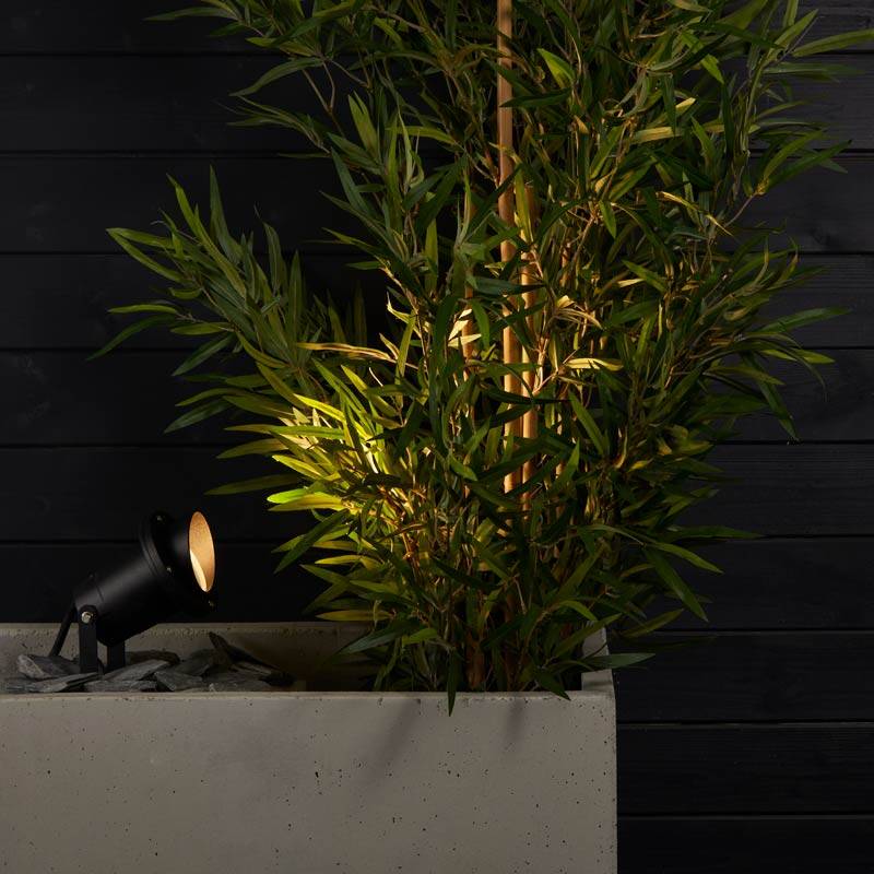 Image of Edit Lisbon Garden Spotlight