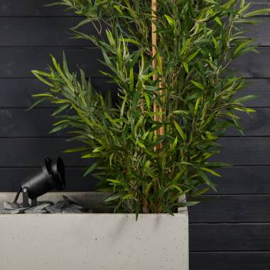 Image of Edit Lisbon Garden Spotlight