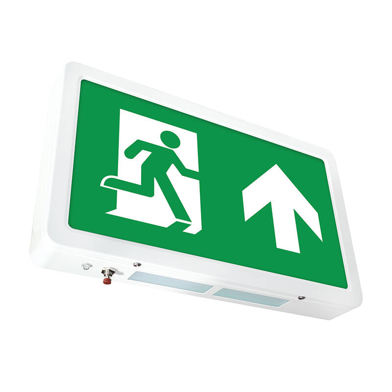 Image of Eterna 4W LED Compact Emergency Exit Box