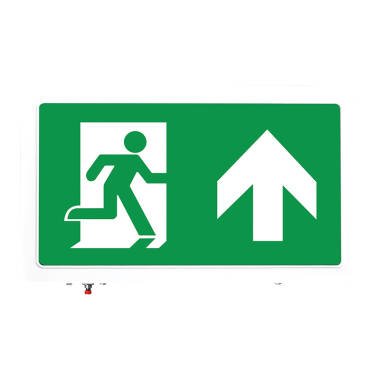 Image of Eterna 4W LED Compact Emergency Exit Box