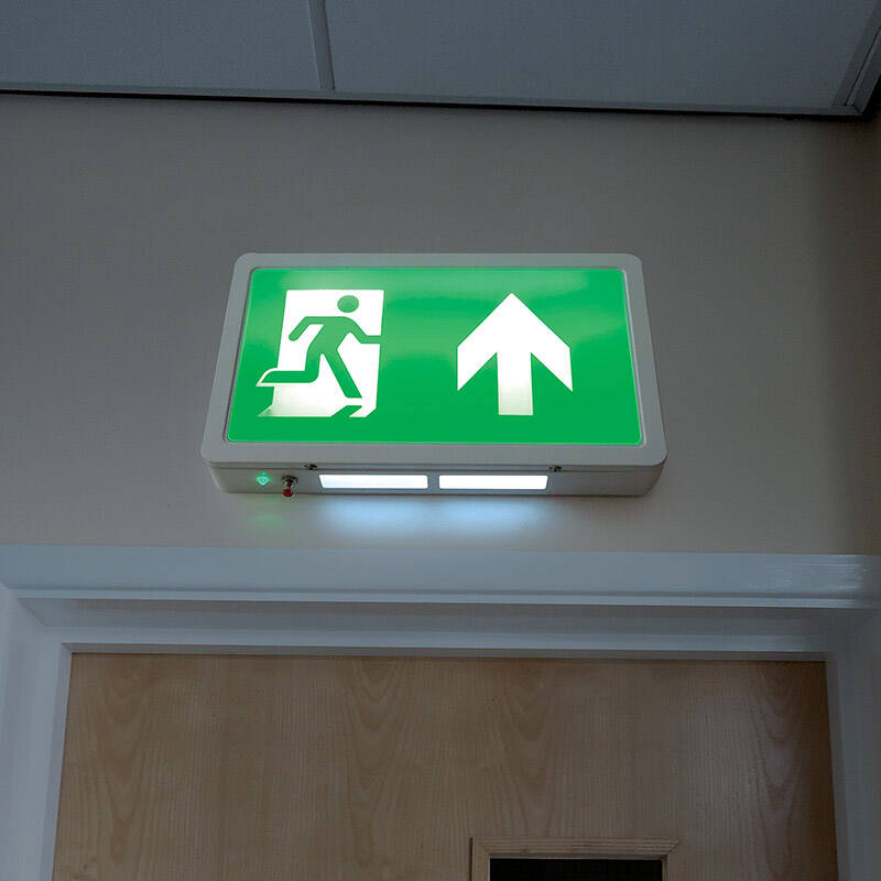 Image of Eterna 4W LED Compact Emergency Exit Box