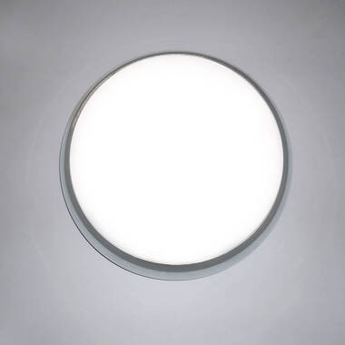 Image of Eterna Chara Full Trim