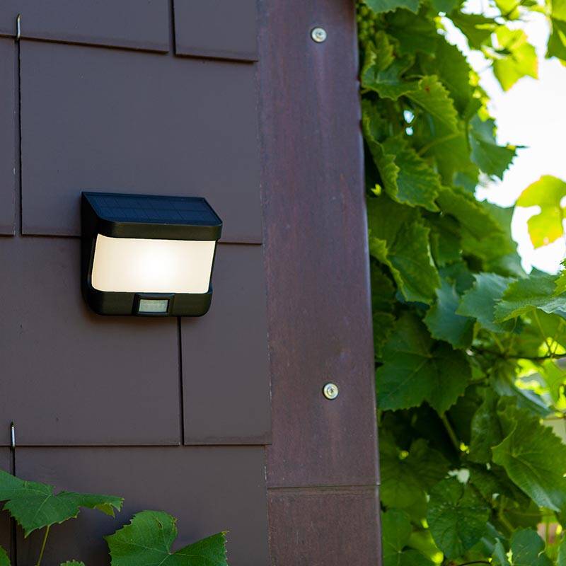 Image of Lutec Try Solar LED Outdoor Wall Light with PIR Sensor