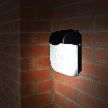 Image of Eterna 11W Daylight LED Outdoor Wall Light