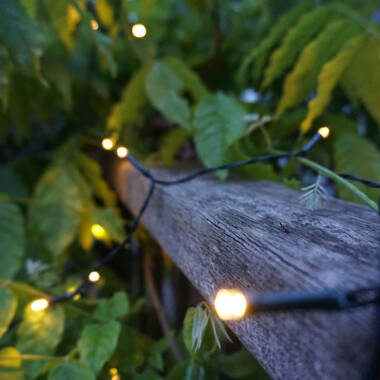 Image of 19.9M Suri Solar Warm White LED String Lights