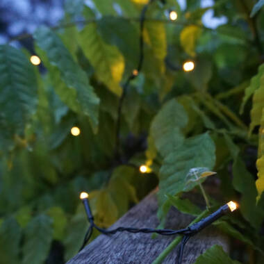 Image of 19.9M Suri Solar Warm White LED String Lights