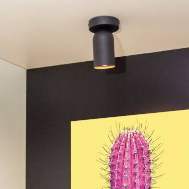 Image of Lucide Punch Single Spotlight