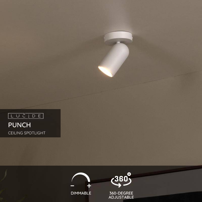 Image of Lucide Punch Single Spotlight