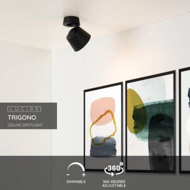 Image of Lucide Trigono Single Spotlight