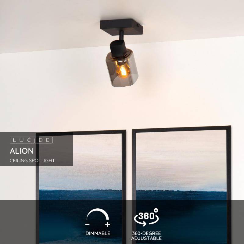 Image of Lucide Alion Single Spotlight