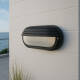 Image of Edit Coastal Conch Outdoor Flush Wall Light