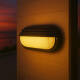 Image of Edit Coastal Conch Outdoor Flush Wall Light
