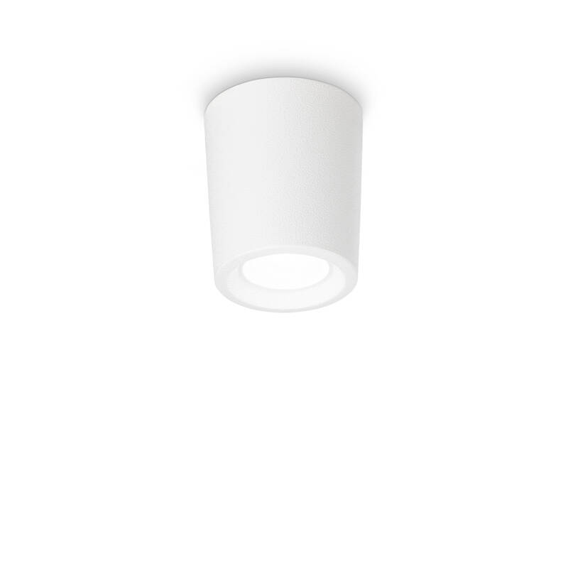 Image of Fumagalli Livia Outdoor Tall Flush Ceiling Light