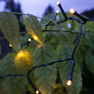 Image of 19.9M Suri Solar Warm White LED String Lights