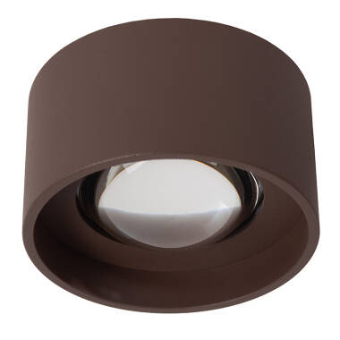 Lucide Lenz LED Outdoor Ceiling Spotlight