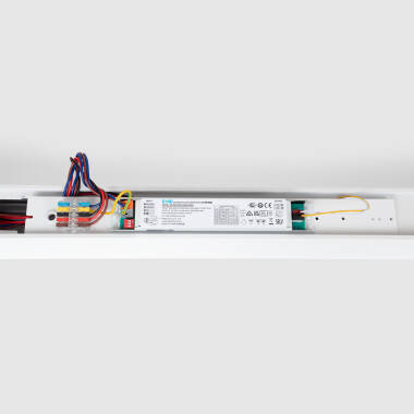 Image of Lyco Luxor Light Line